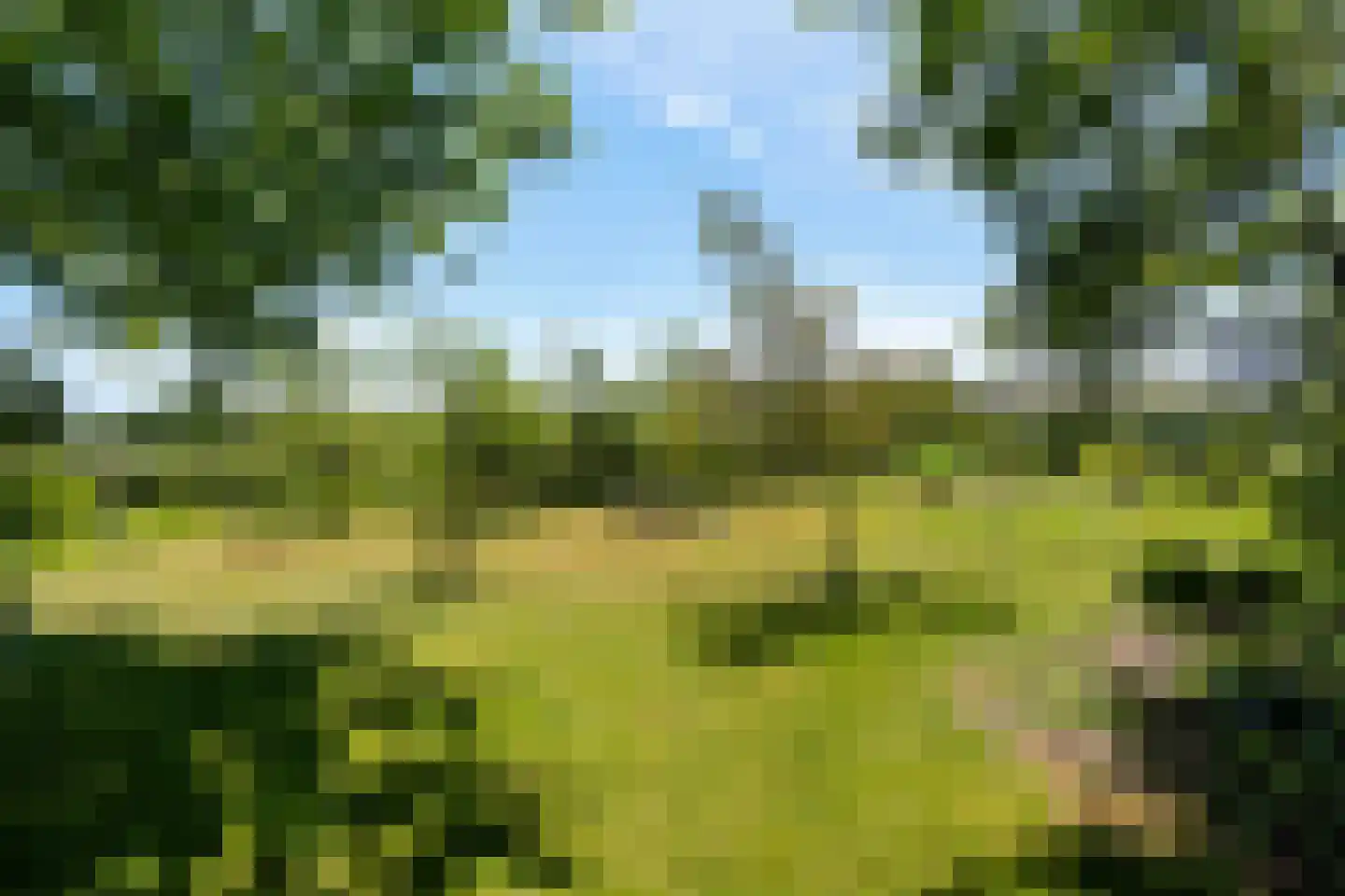 Warmenbossenweg 3 26 Schoonloo thumbnail 34