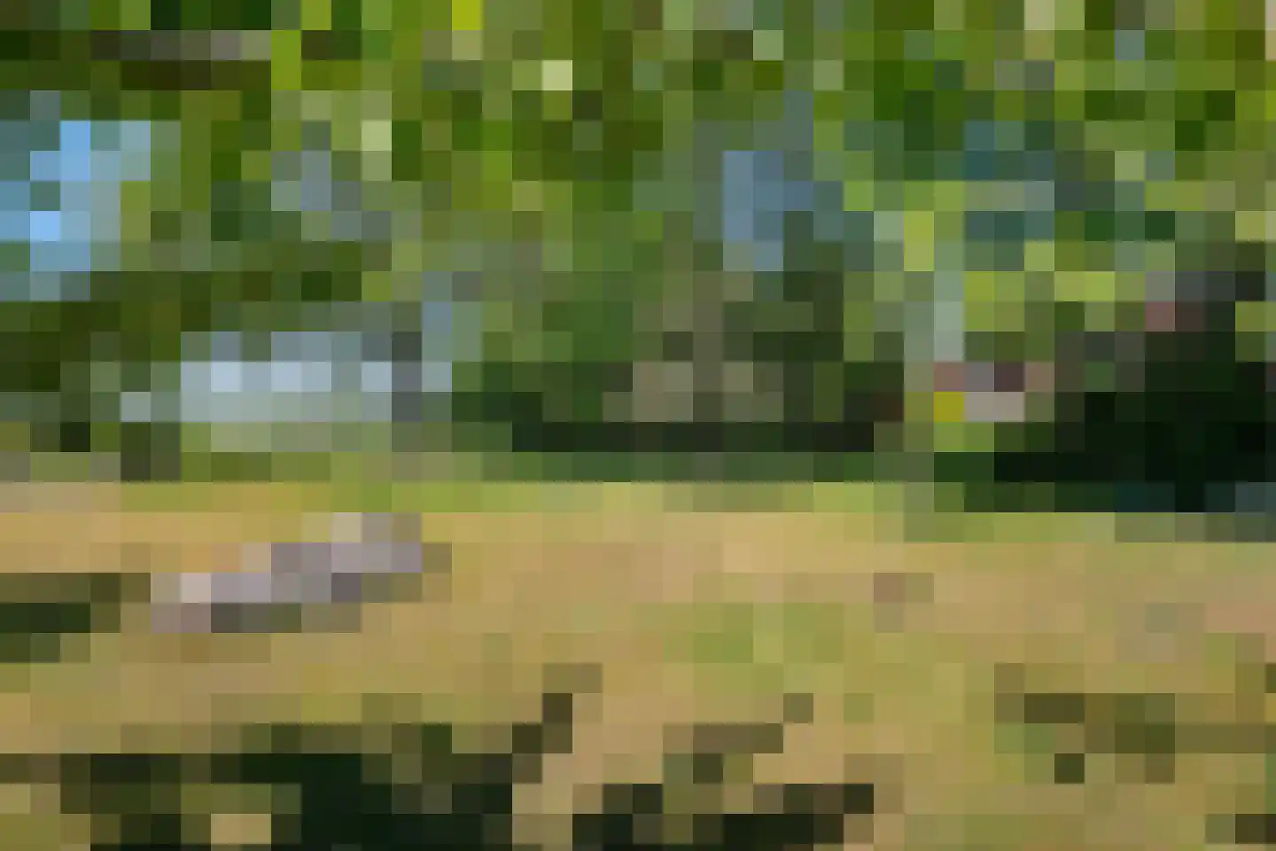 Warmenbossenweg 3 26 Schoonloo thumbnail 35