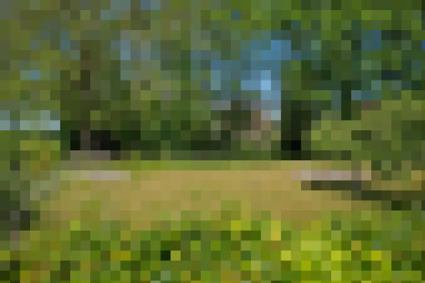 Warmenbossenweg 3 26 Schoonloo thumbnail 36