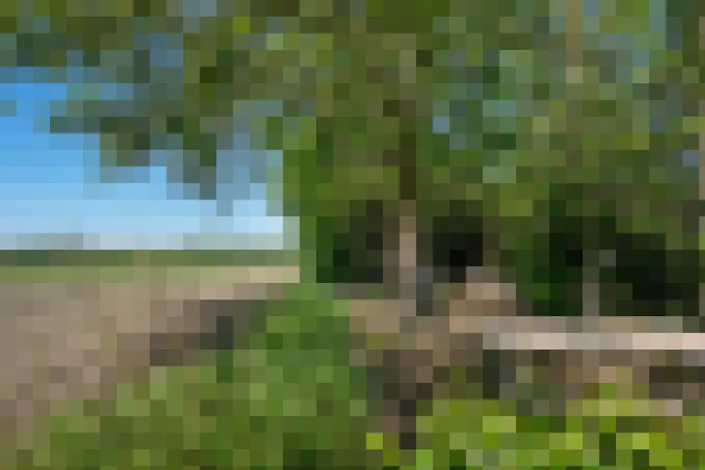 Warmenbossenweg 3 26 Schoonloo thumbnail 37