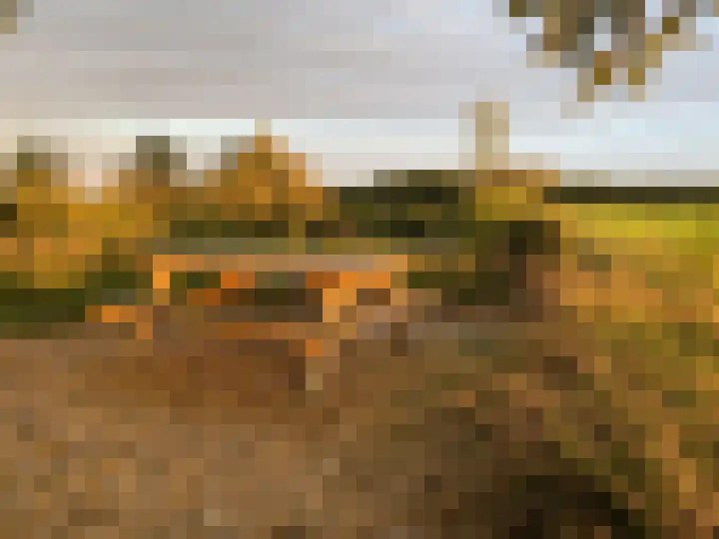 Warmenbossenweg 3 26 Schoonloo thumbnail 38