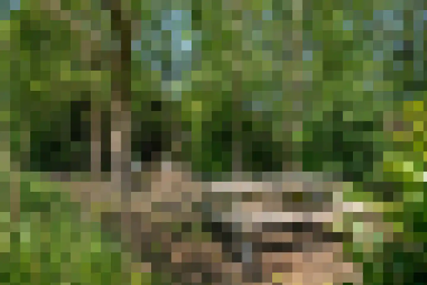Warmenbossenweg 3 26 Schoonloo thumbnail 39