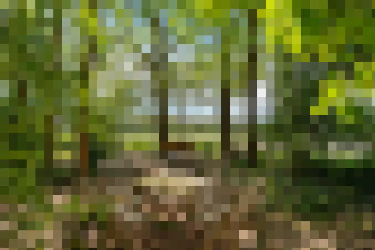 Warmenbossenweg 3 26 Schoonloo thumbnail 40