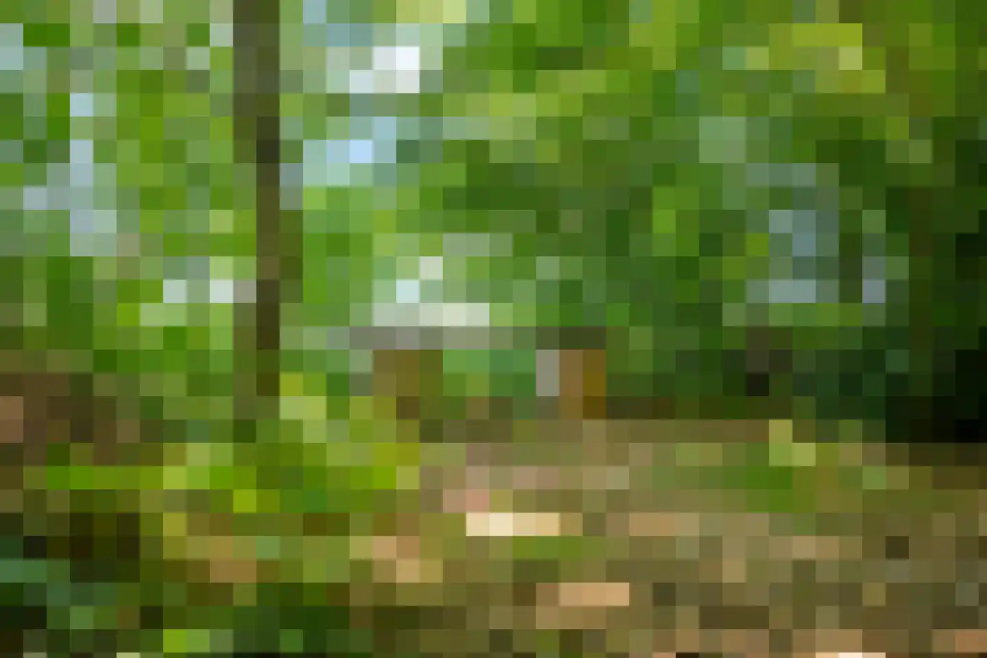 Warmenbossenweg 3 26 Schoonloo thumbnail 41