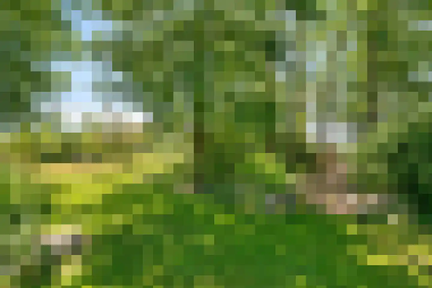 Warmenbossenweg 3 26 Schoonloo thumbnail 42