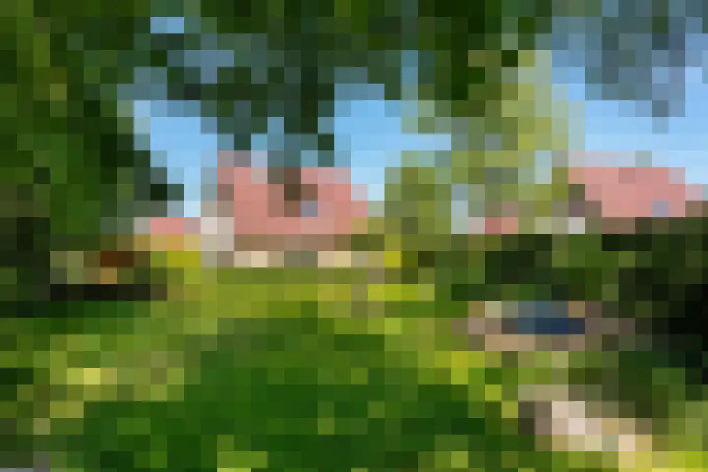 Warmenbossenweg 3 26 Schoonloo thumbnail 43