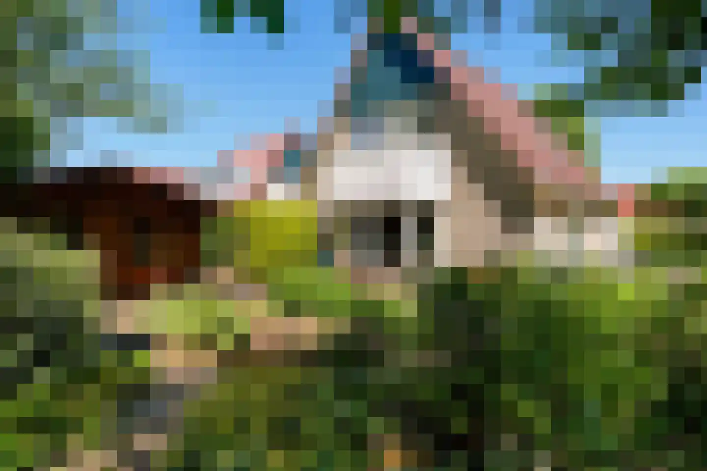 Warmenbossenweg 3 26 Schoonloo thumbnail 44