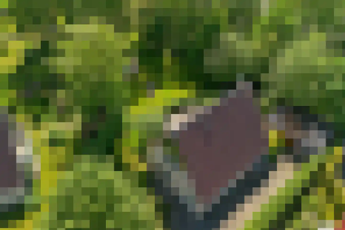 Warmenbossenweg 3 26 Schoonloo thumbnail 46