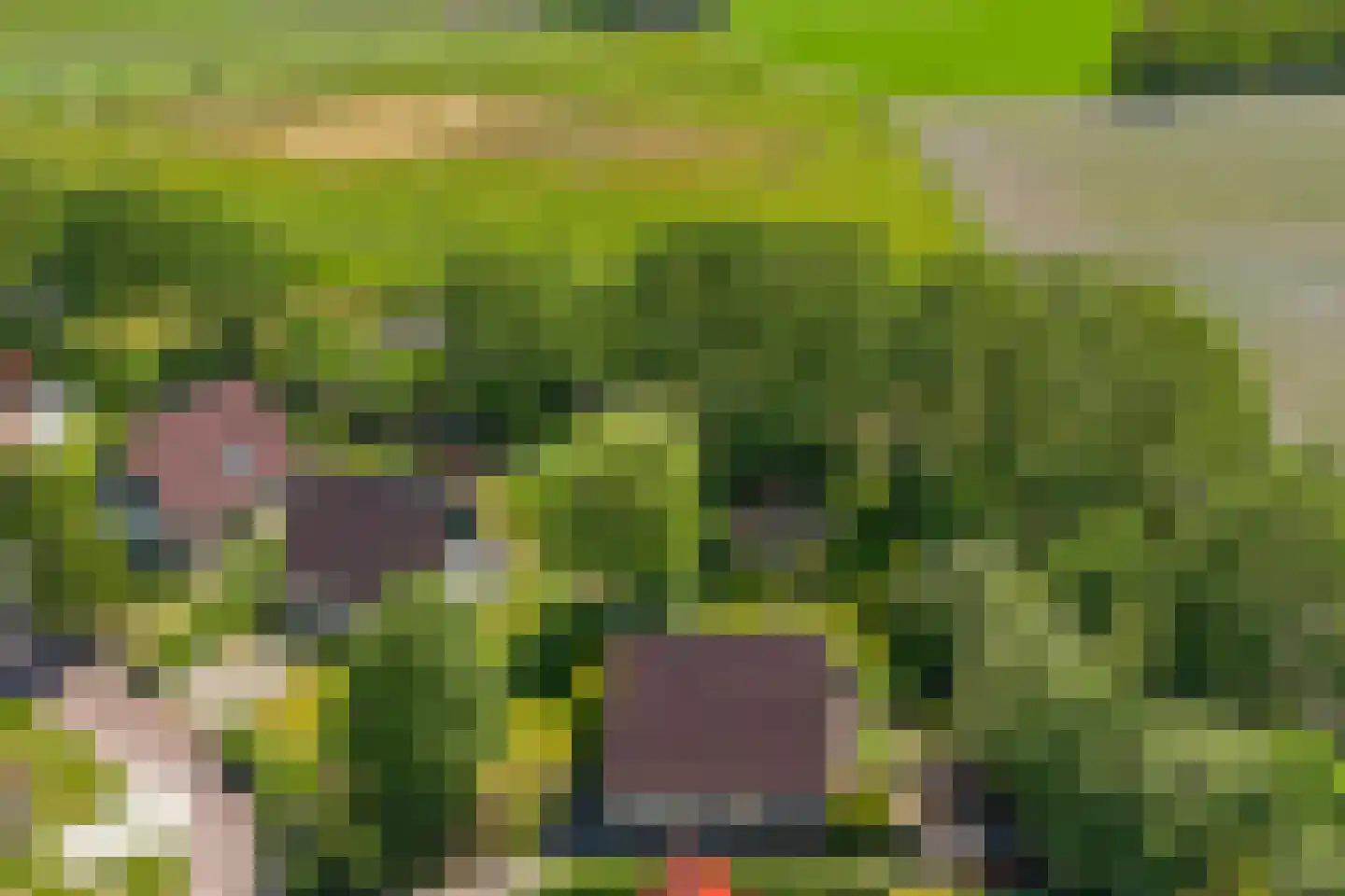 Warmenbossenweg 3 26 Schoonloo thumbnail 47
