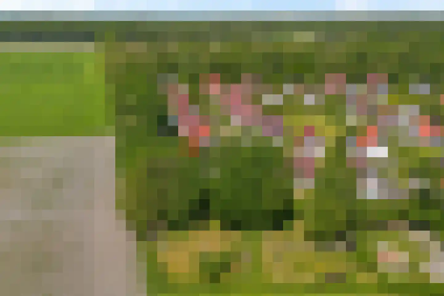 Warmenbossenweg 3 26 Schoonloo thumbnail 48
