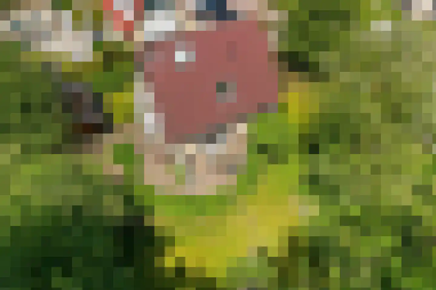 Warmenbossenweg 3 26 Schoonloo thumbnail 49