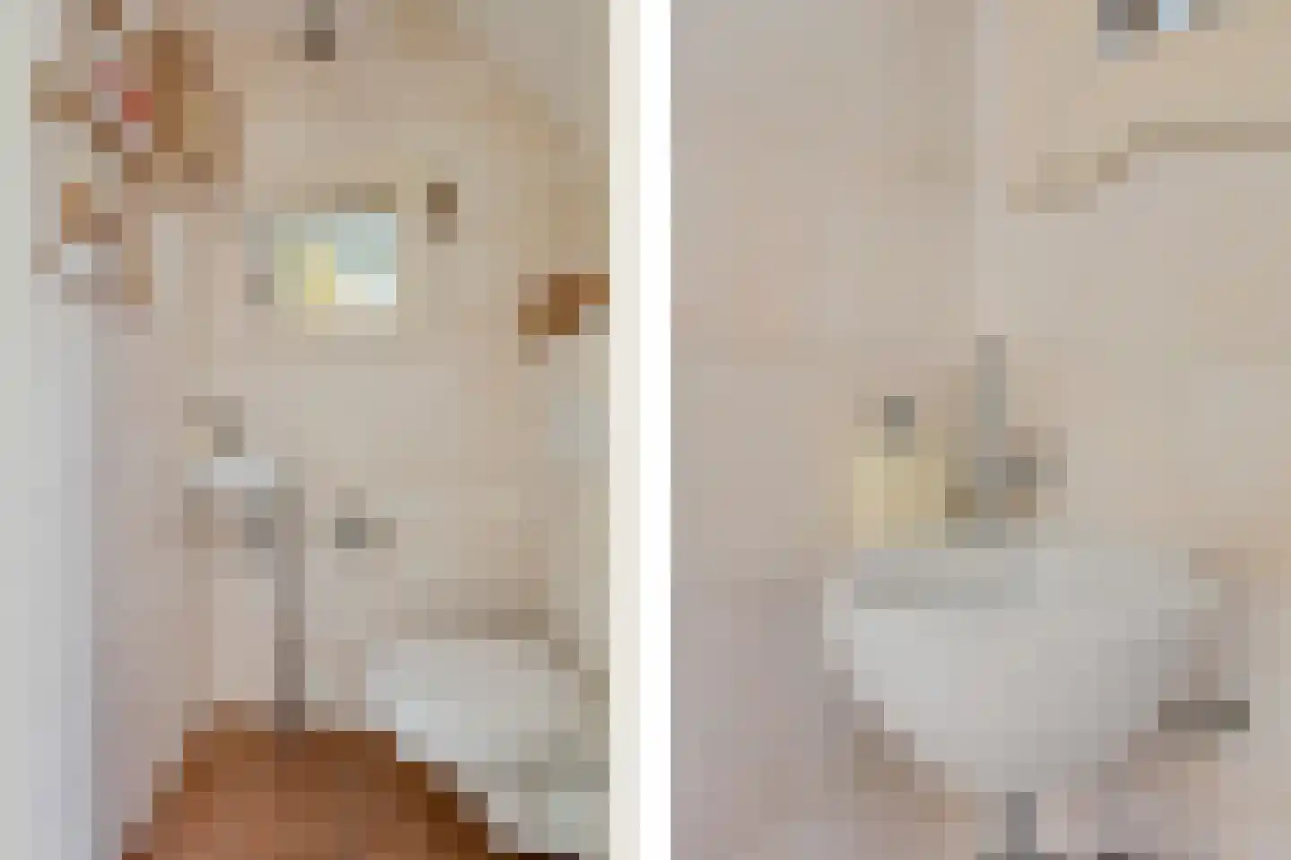 Warmenbossenweg 3 26 Schoonloo thumbnail 6