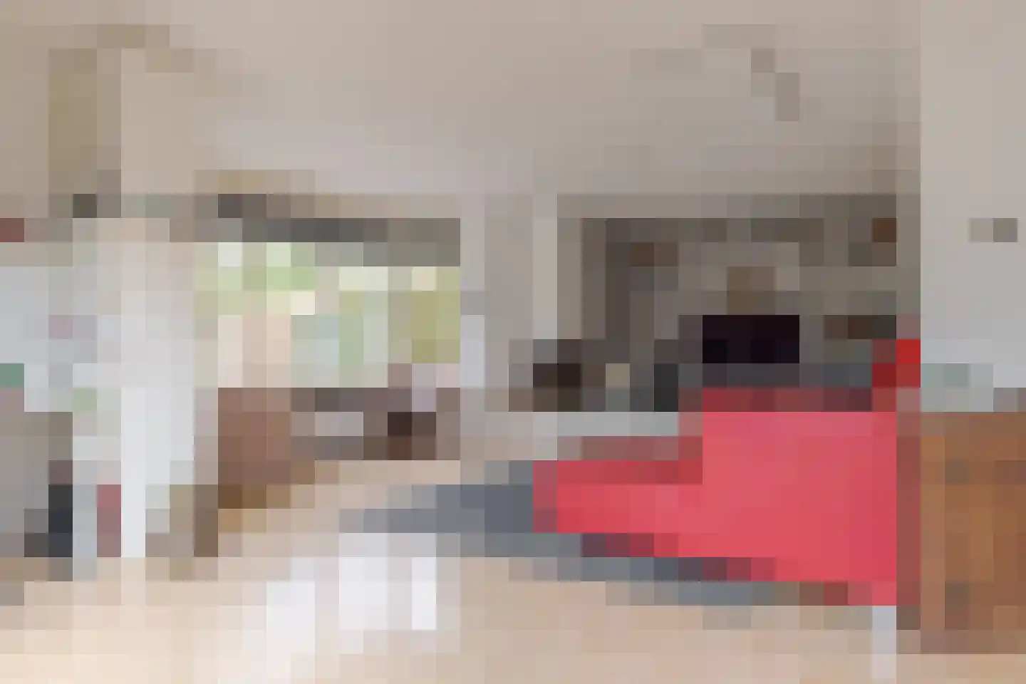 Warmenbossenweg 3 36 Schoonloo thumbnail 14