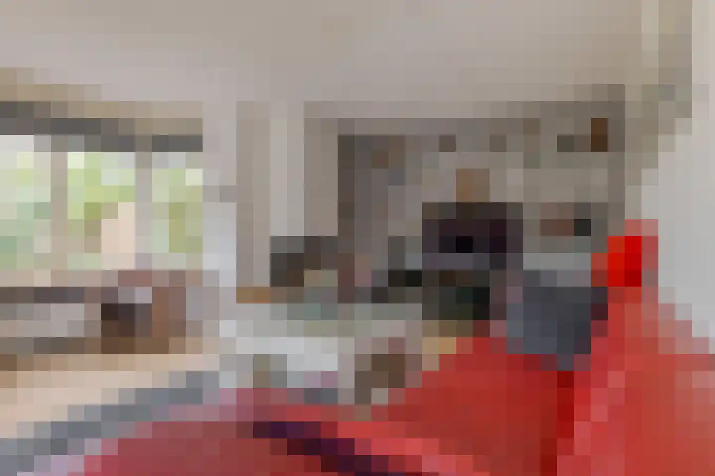 Warmenbossenweg 3 36 Schoonloo thumbnail 18