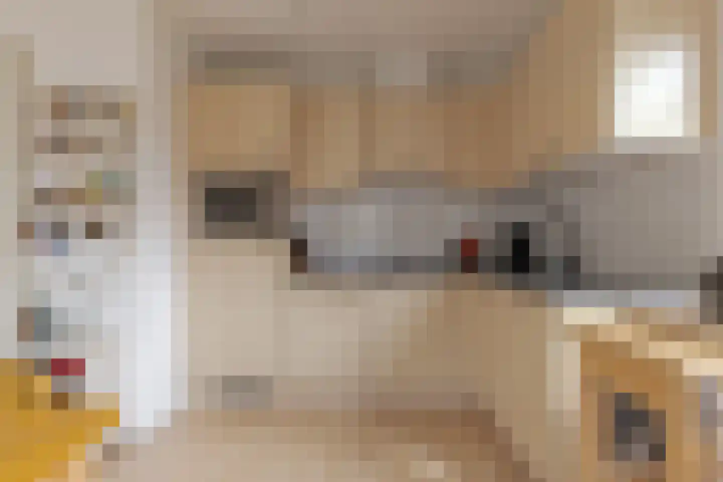 Warmenbossenweg 3 36 Schoonloo thumbnail 23