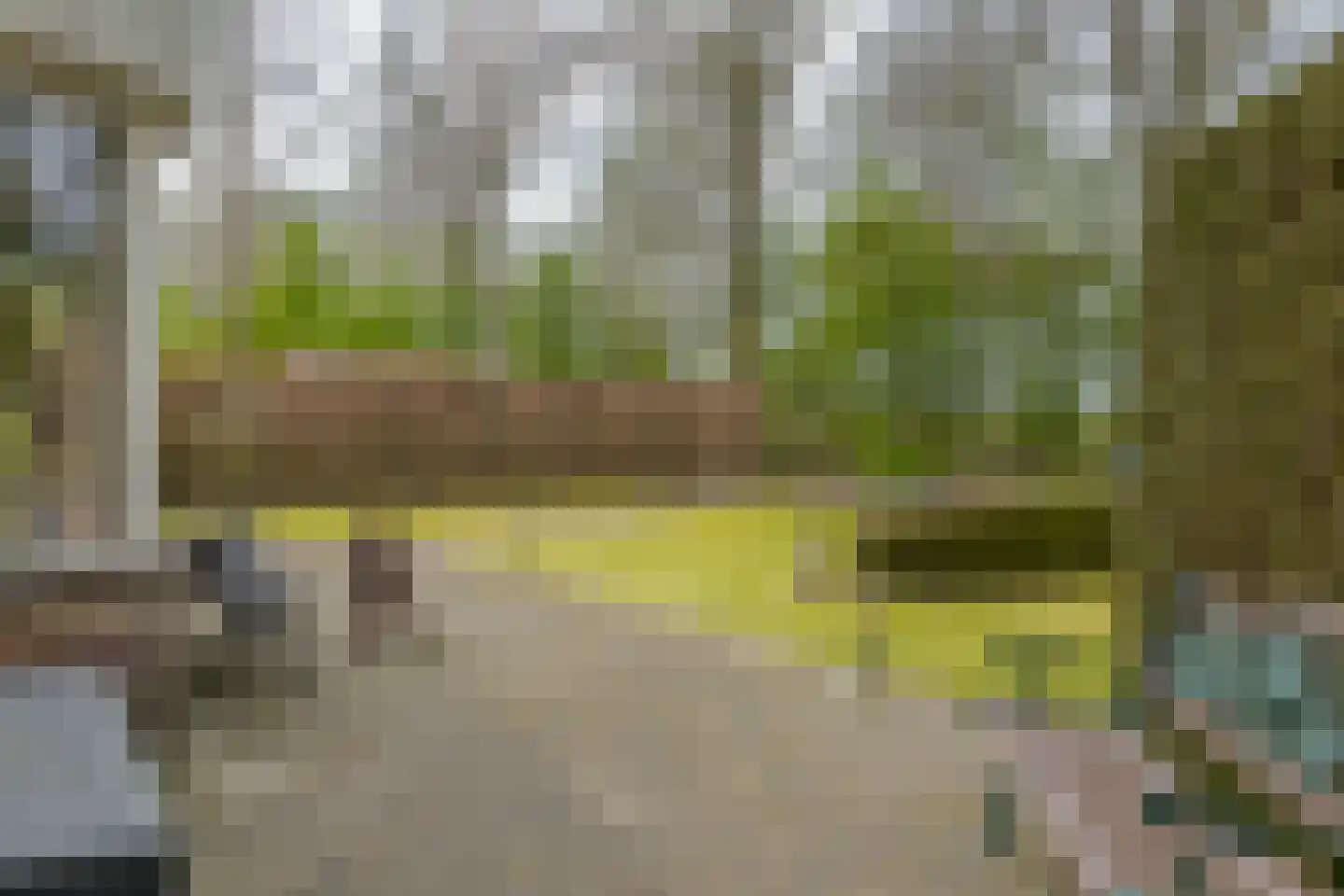 Warmenbossenweg 3 36 Schoonloo thumbnail 29