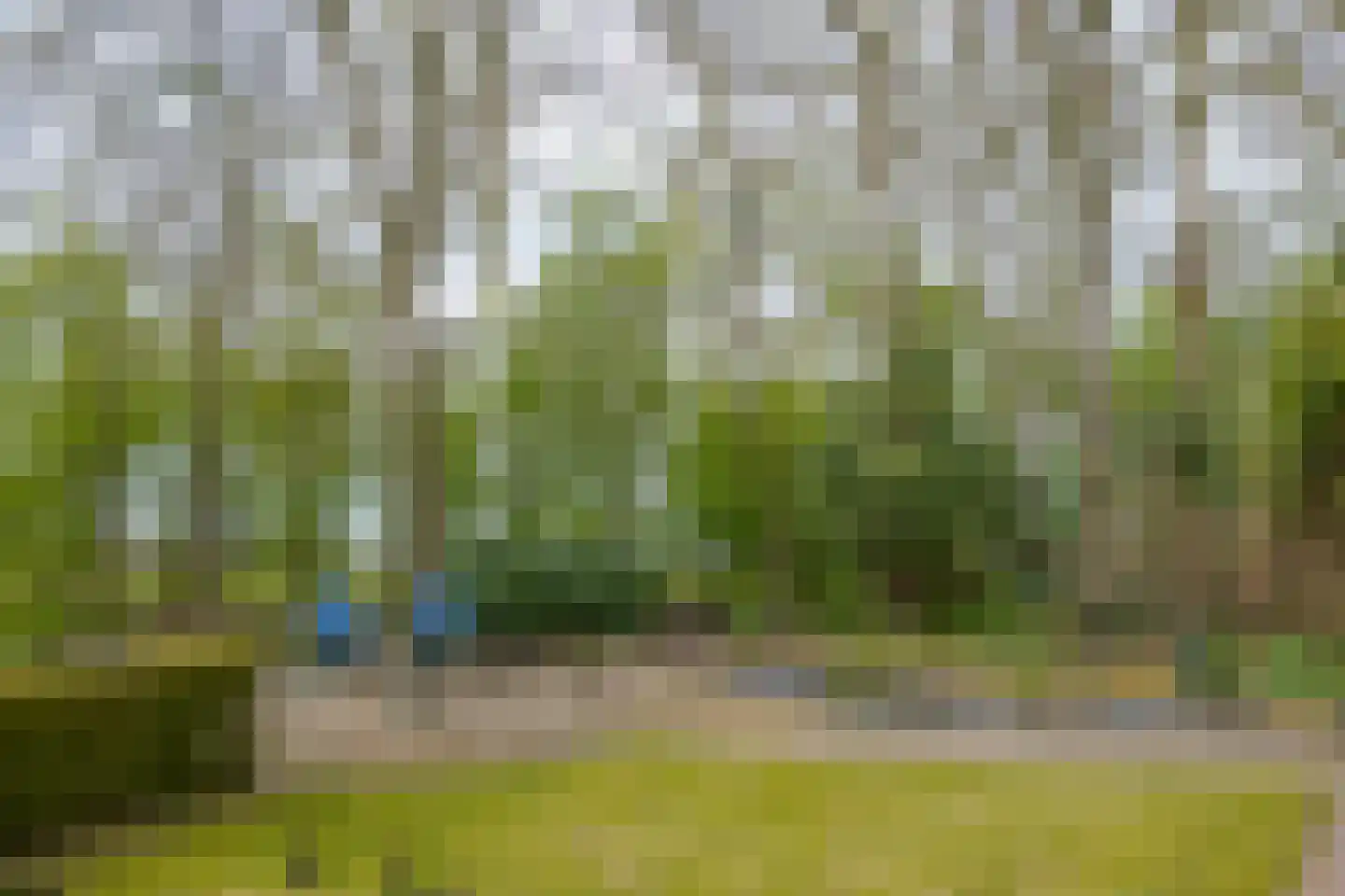 Warmenbossenweg 3 36 Schoonloo thumbnail 36