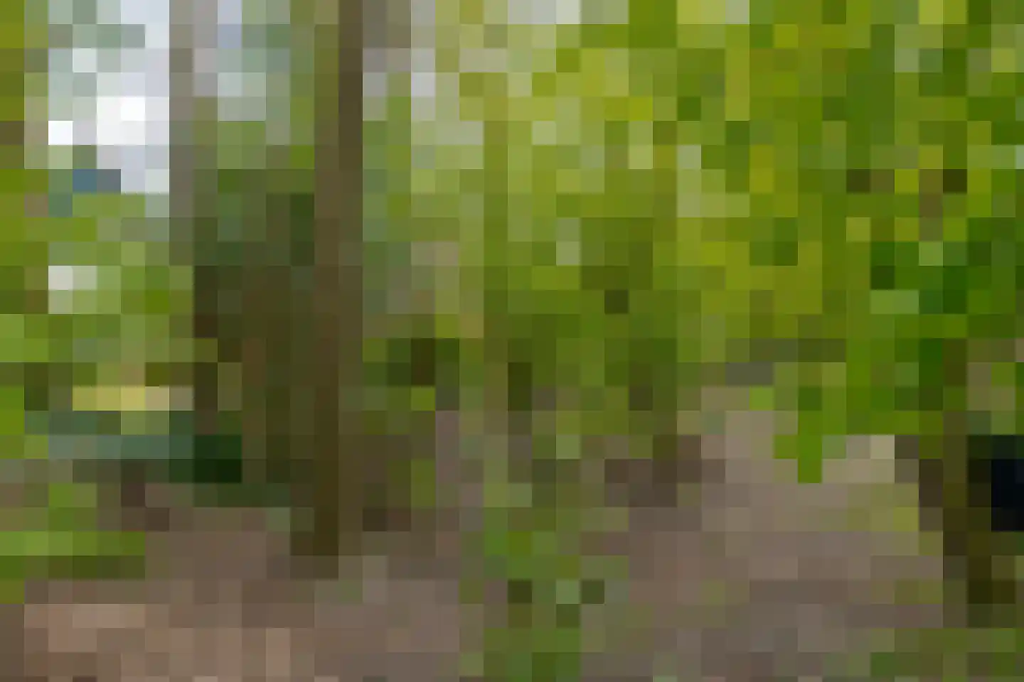 Warmenbossenweg 3 36 Schoonloo thumbnail 38