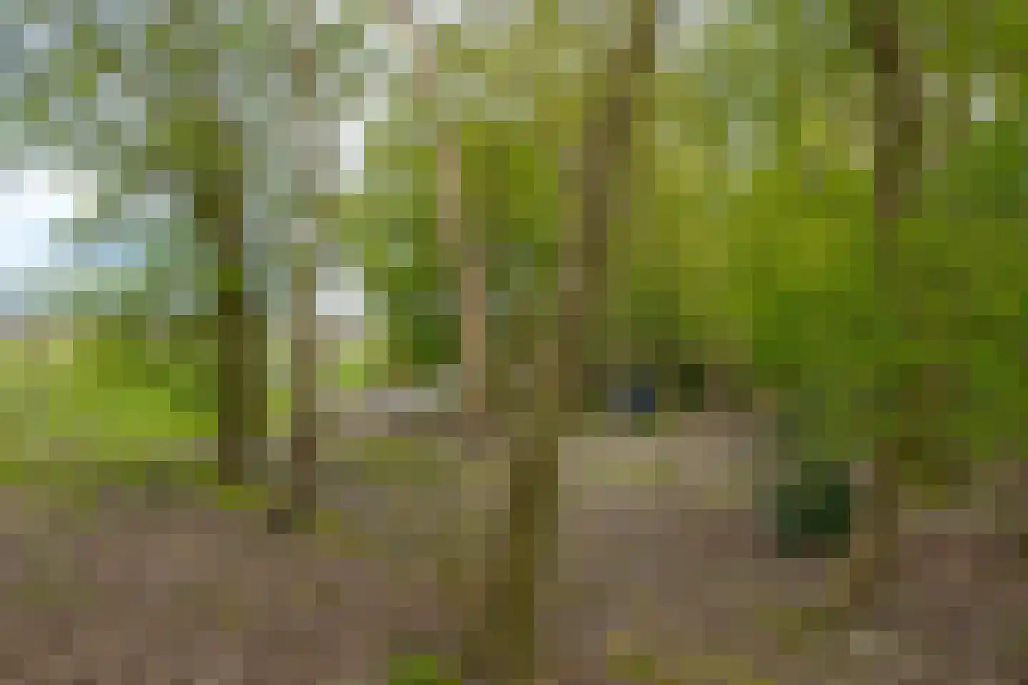 Warmenbossenweg 3 36 Schoonloo thumbnail 39