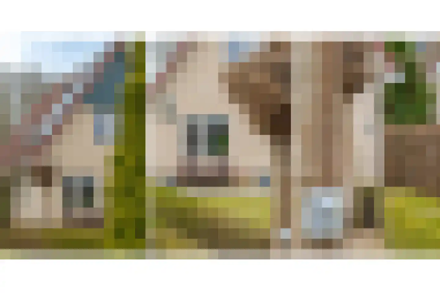 Warmenbossenweg 3 36 Schoonloo thumbnail 5