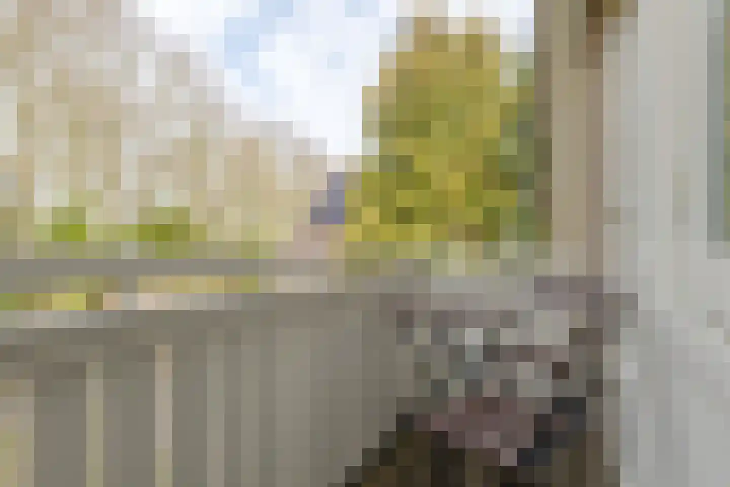 Warmenbossenweg 3 36 Schoonloo thumbnail 52