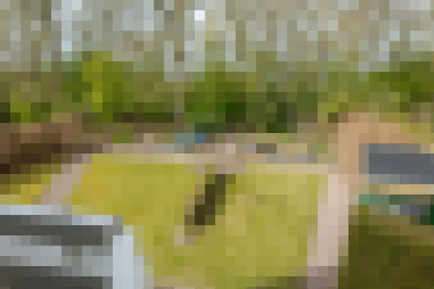 Warmenbossenweg 3 36 Schoonloo thumbnail 53