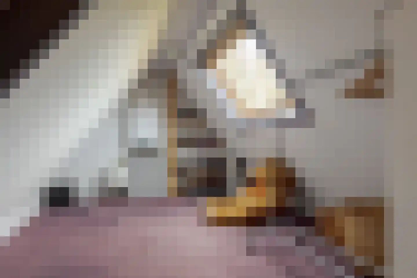 Warmenbossenweg 3 36 Schoonloo thumbnail 61