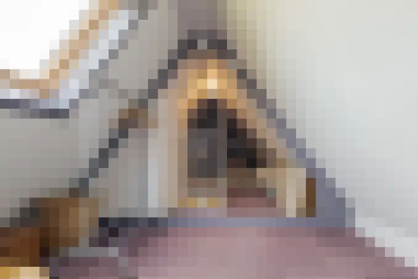 Warmenbossenweg 3 36 Schoonloo thumbnail 62