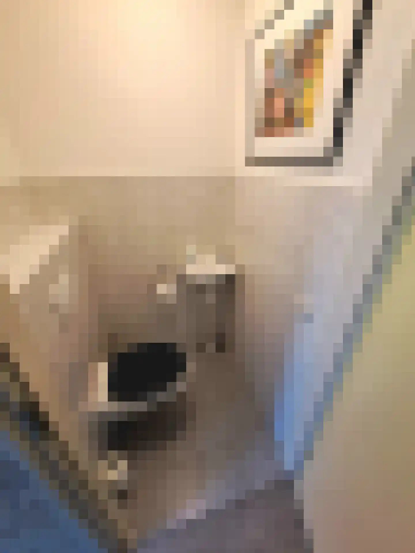 Warmenbossenweg 3 48 Schoonloo thumbnail 11
