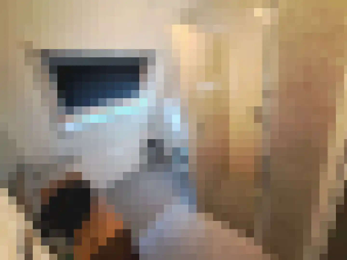 Warmenbossenweg 3 48 Schoonloo thumbnail 16