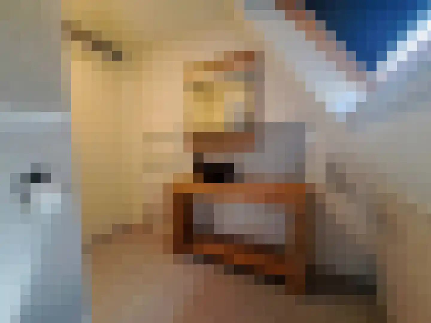 Warmenbossenweg 3 48 Schoonloo thumbnail 17