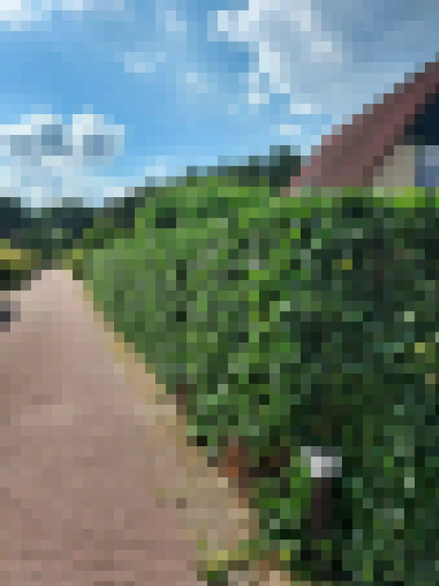 Warmenbossenweg 3 48 Schoonloo thumbnail 20