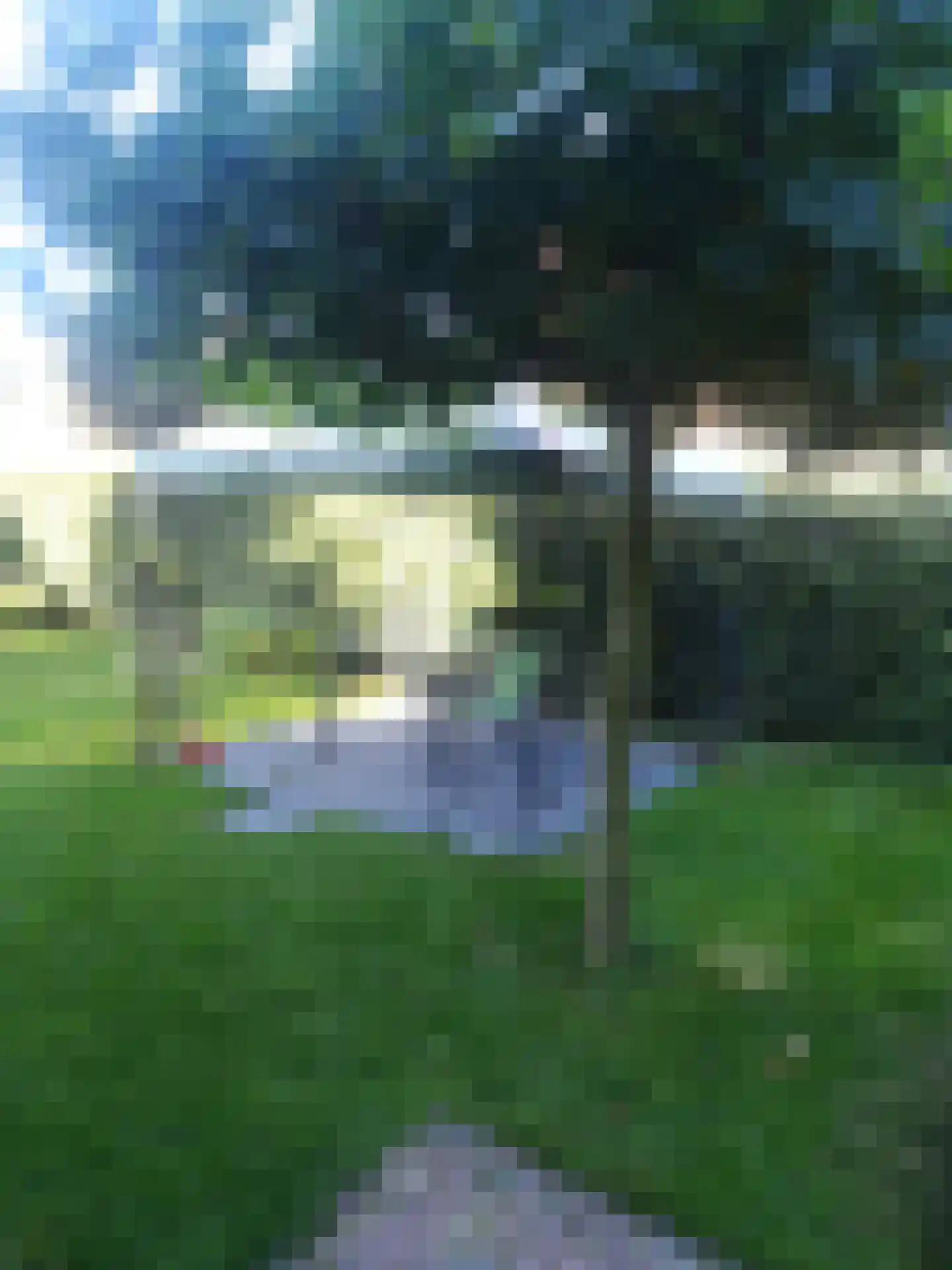 Warmenbossenweg 3 48 Schoonloo thumbnail 21