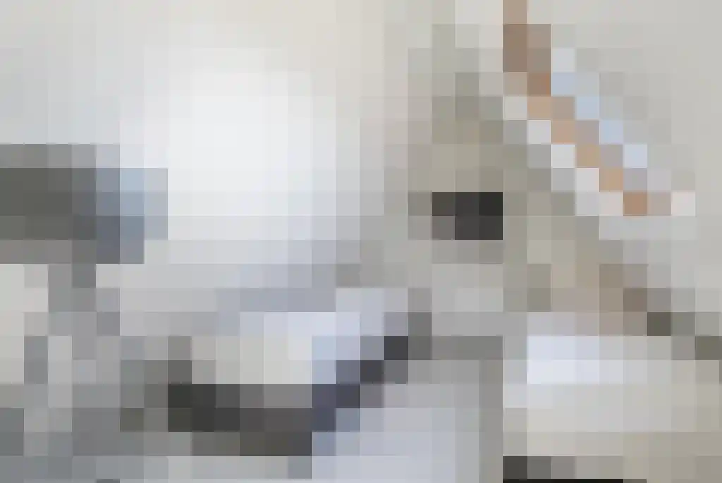 Warmenbossenweg 3 56 Schoonloo thumbnail 29