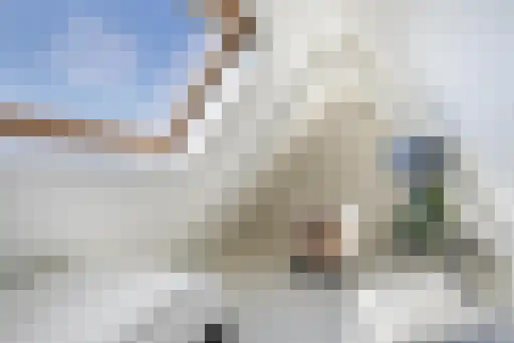 Warmenbossenweg 3 56 Schoonloo thumbnail 30