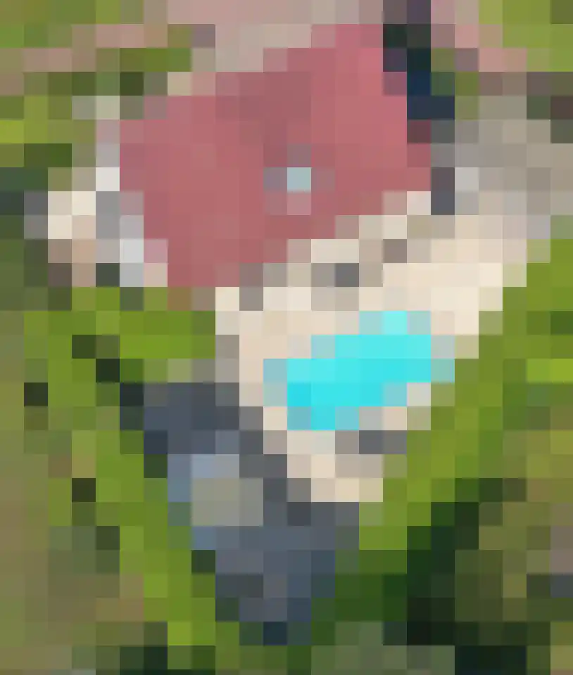 Warmenbossenweg 3 56 Schoonloo thumbnail 33