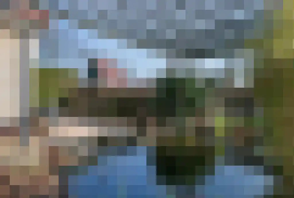 Warmenbossenweg 3 56 Schoonloo thumbnail 39