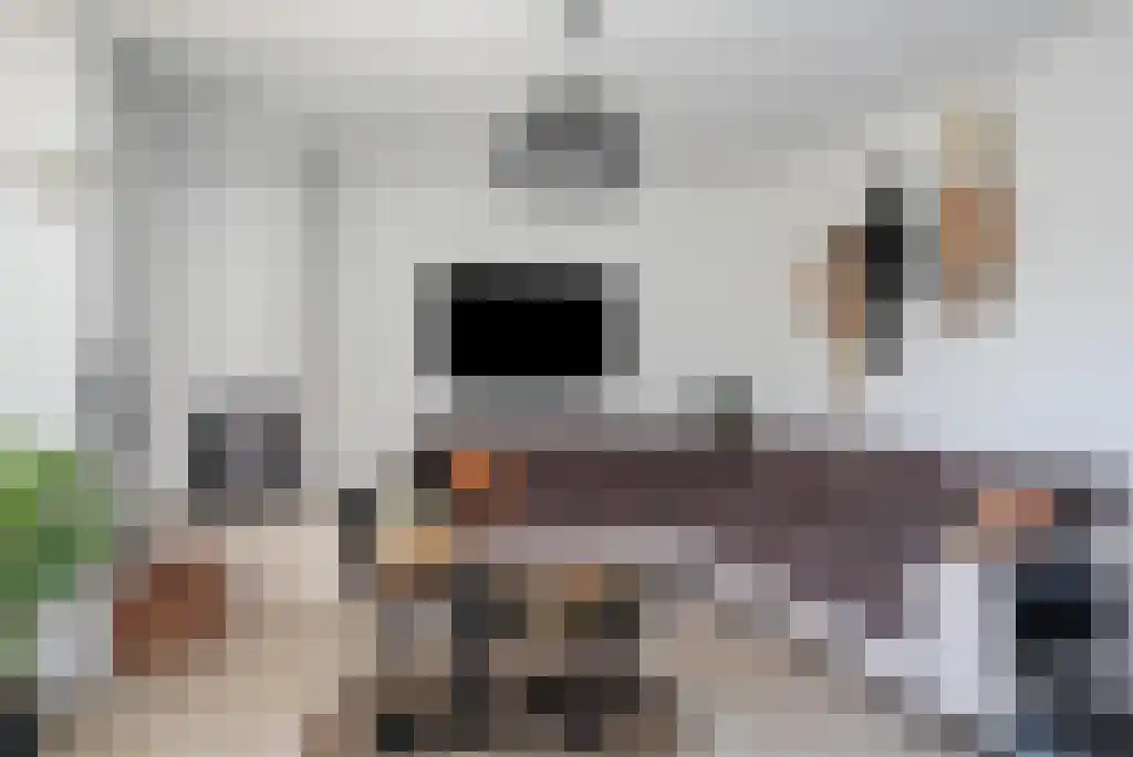 Warmenbossenweg 3 56 Schoonloo thumbnail 7