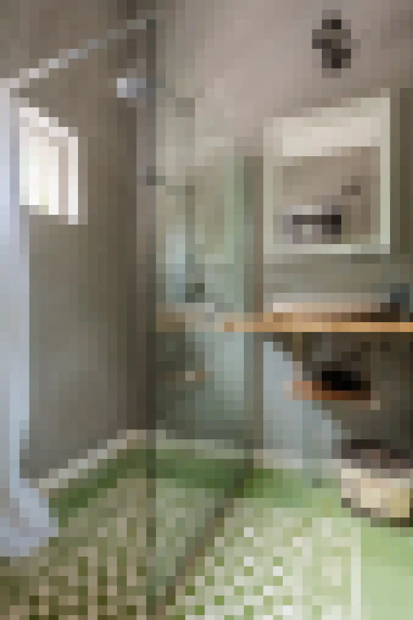 Warmenbossenweg 3 a 1 Schoonloo thumbnail 10