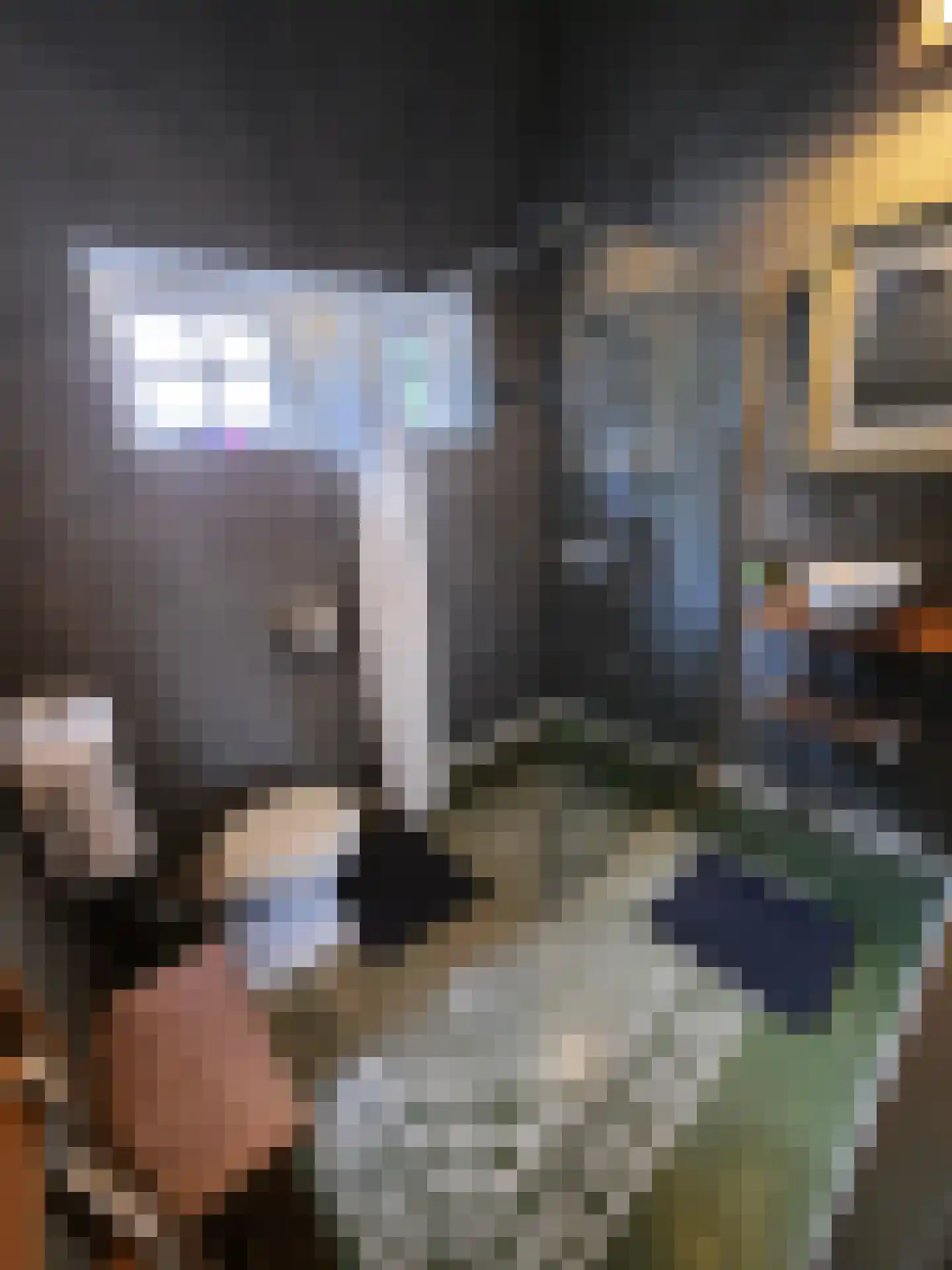 Warmenbossenweg 3 a 1 Schoonloo thumbnail 11
