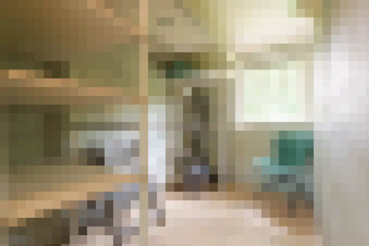 Warmenbossenweg 3 a 1 Schoonloo thumbnail 12