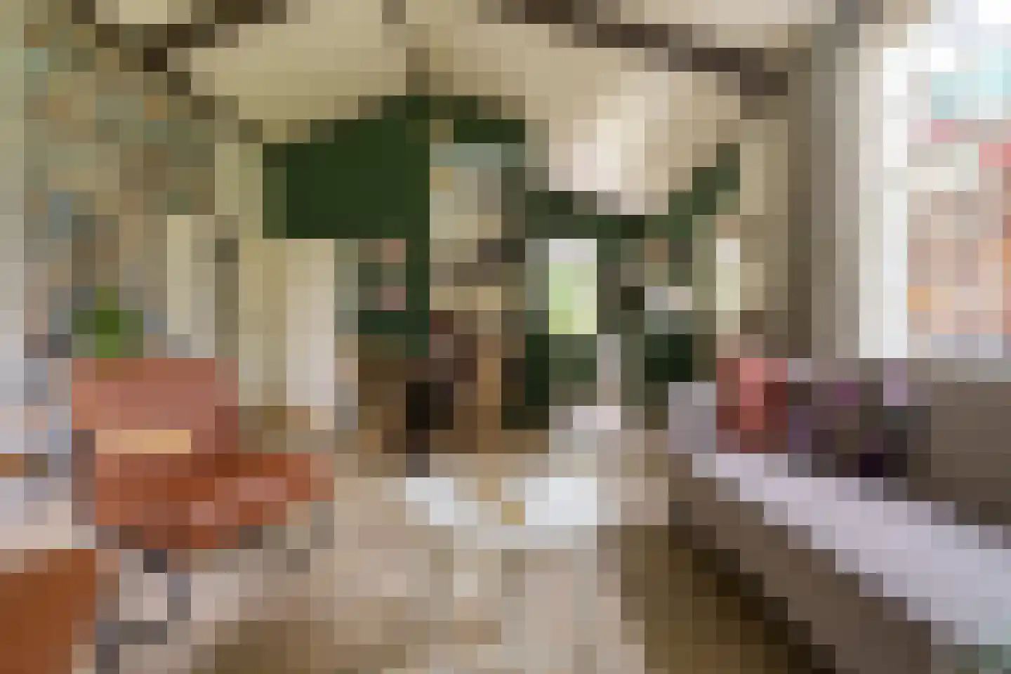 Warmenbossenweg 3 a 1 Schoonloo thumbnail 13