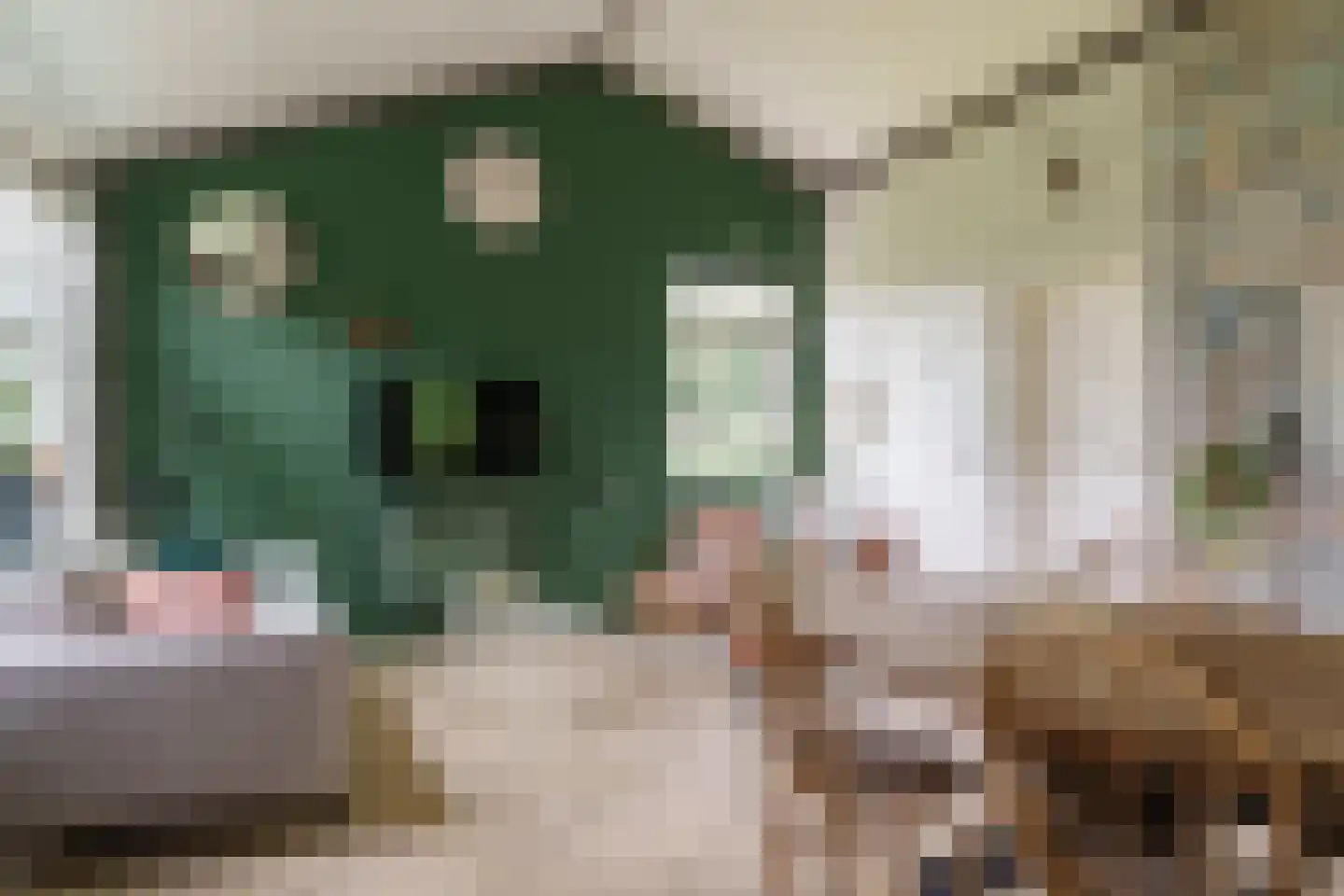 Warmenbossenweg 3 a 1 Schoonloo thumbnail 14