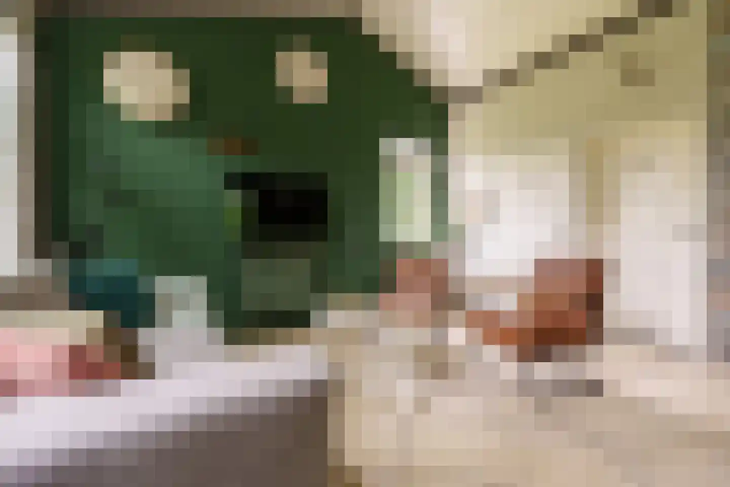 Warmenbossenweg 3 a 1 Schoonloo thumbnail 15