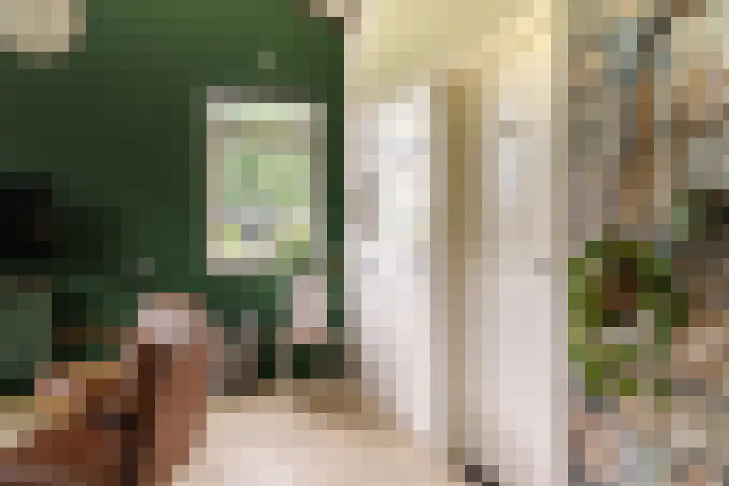 Warmenbossenweg 3 a 1 Schoonloo thumbnail 16