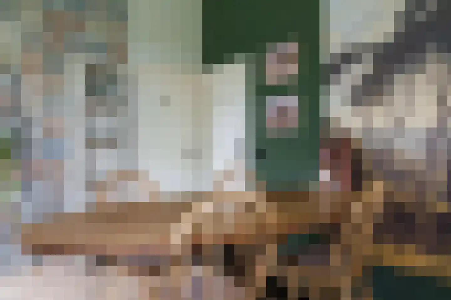 Warmenbossenweg 3 a 1 Schoonloo thumbnail 21