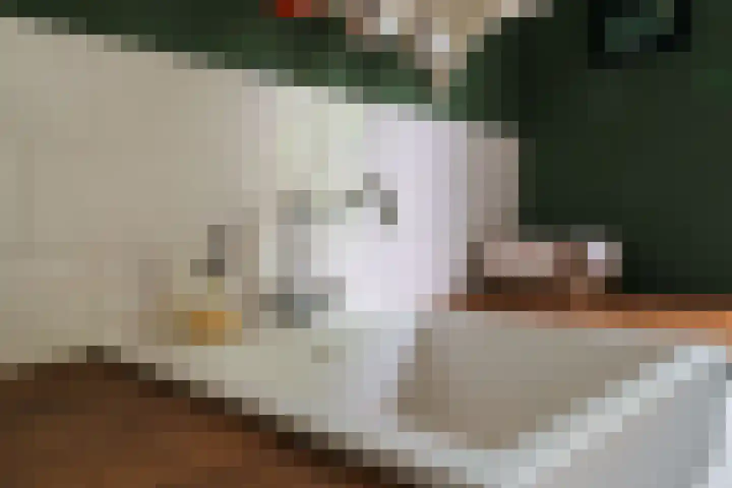 Warmenbossenweg 3 a 1 Schoonloo thumbnail 22