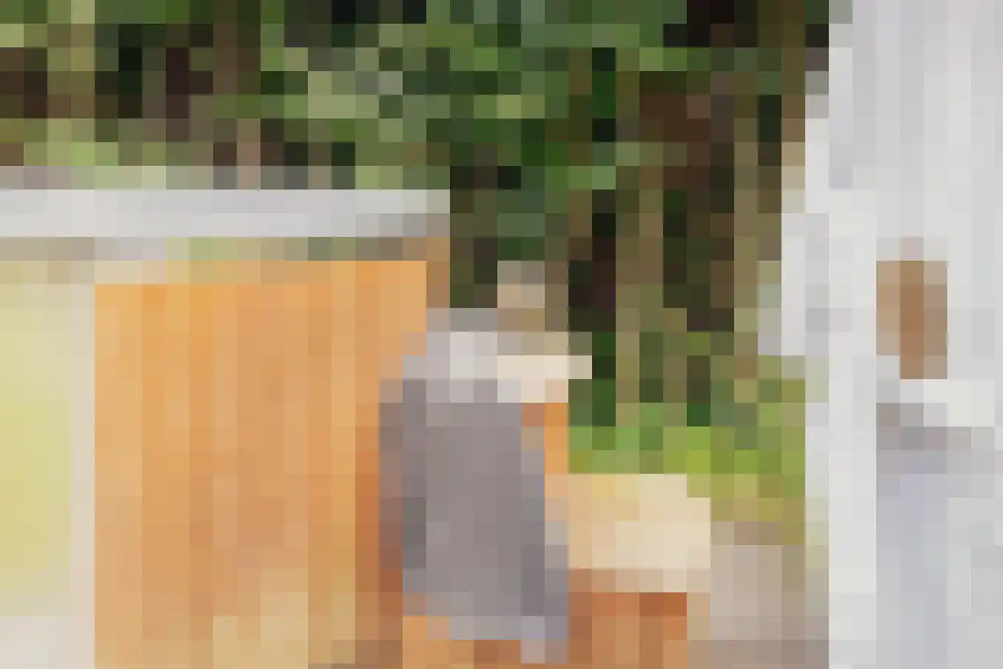 Warmenbossenweg 3 a 1 Schoonloo thumbnail 25