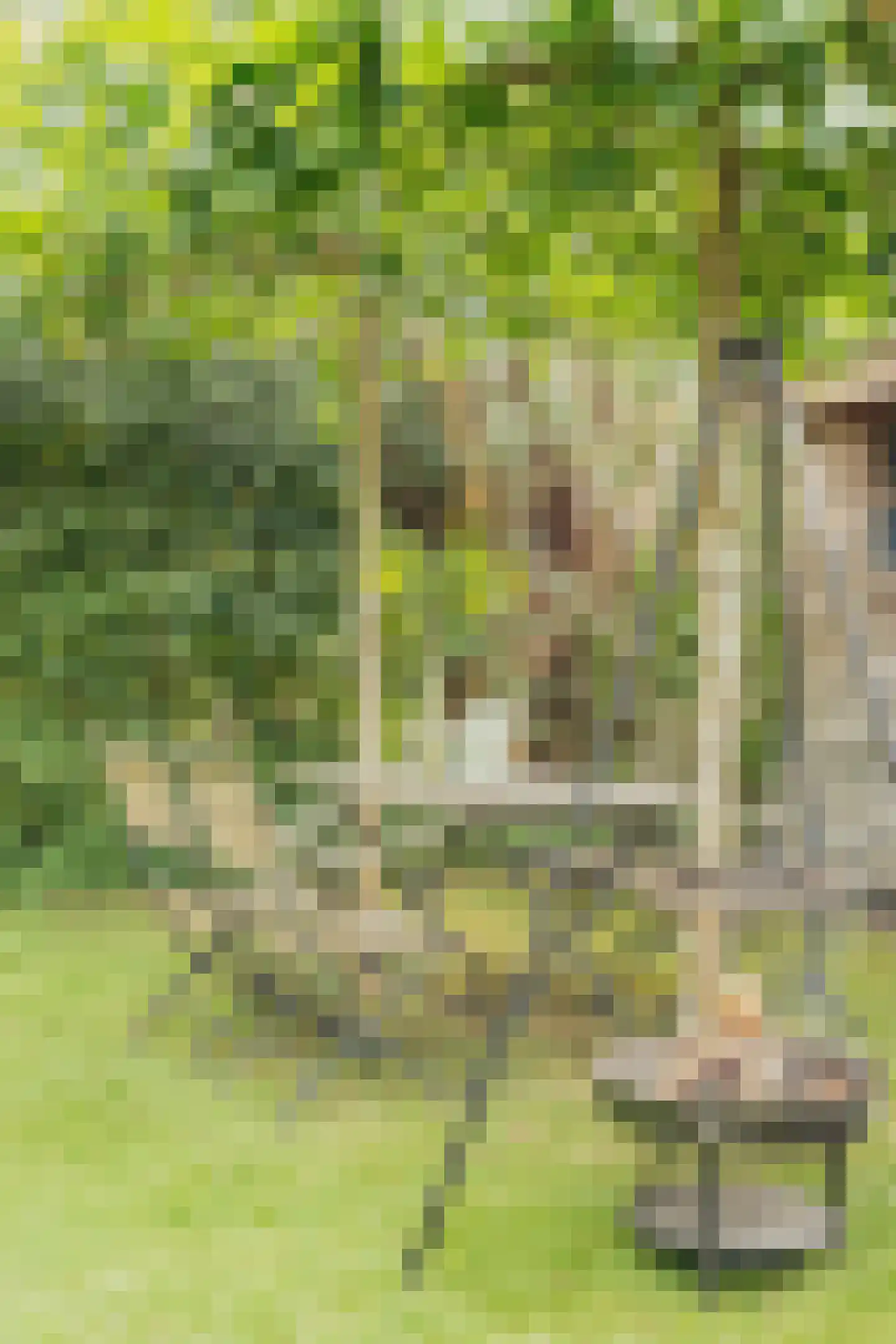 Warmenbossenweg 3 a 1 Schoonloo thumbnail 27