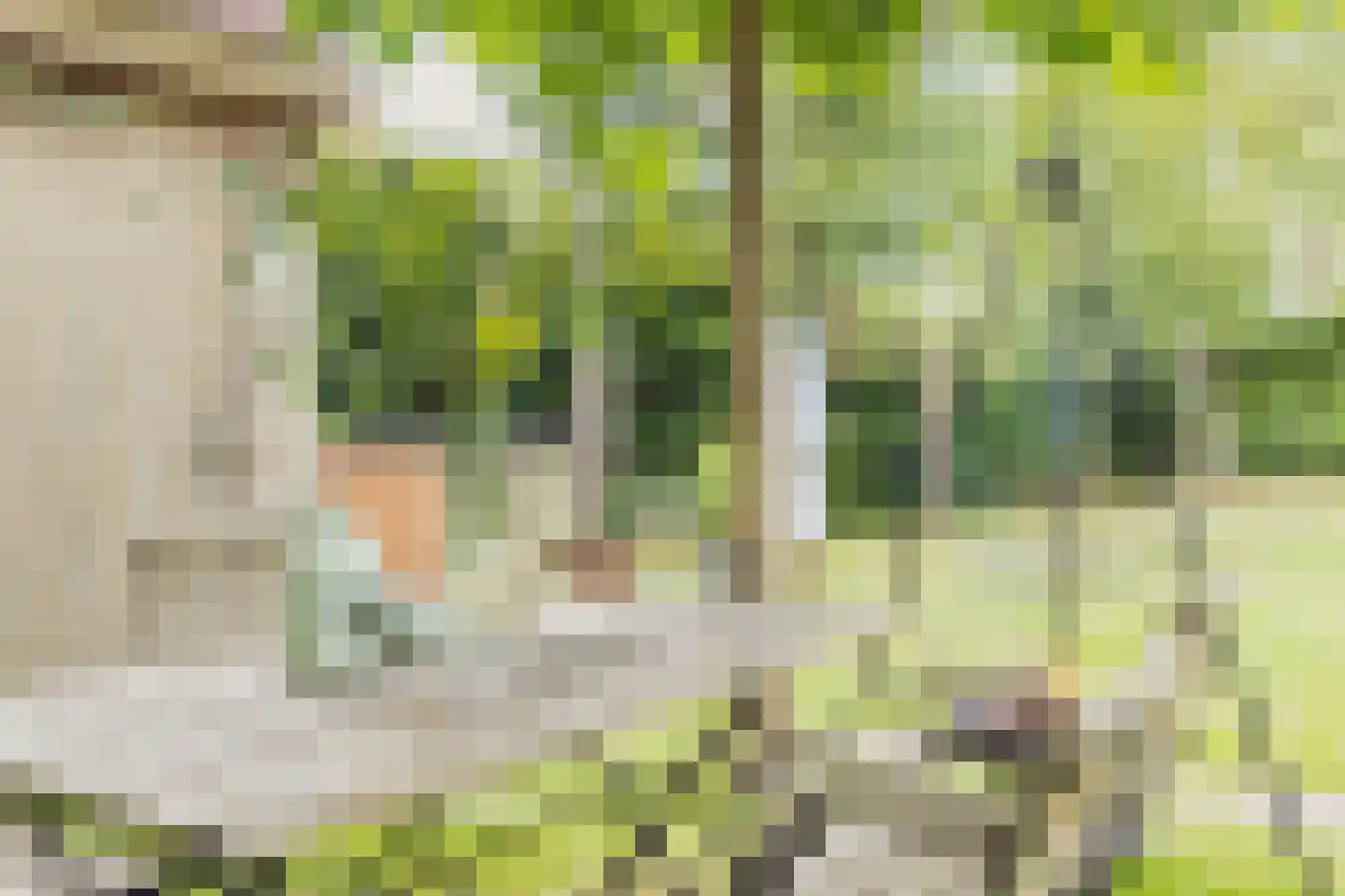 Warmenbossenweg 3 a 1 Schoonloo thumbnail 28